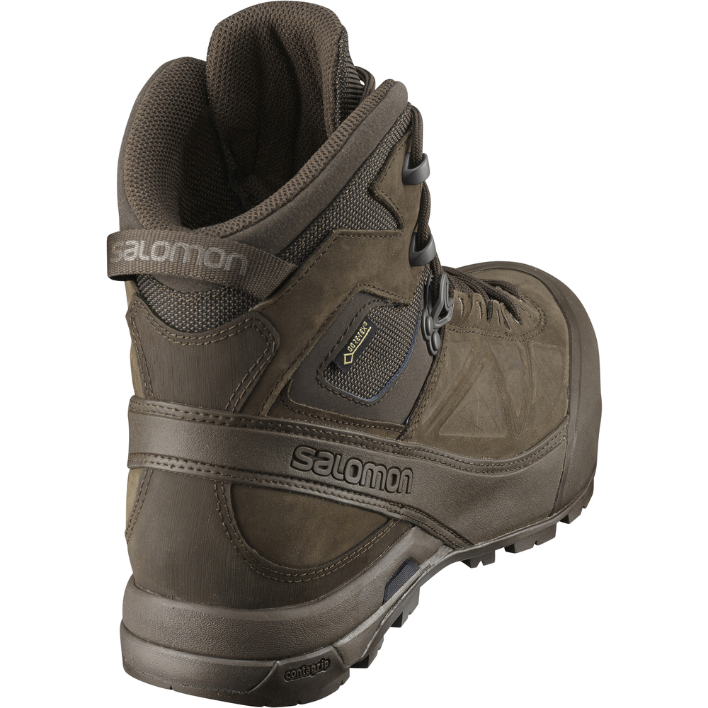 salomon alp mtn gtx