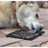SodaPup Lick Mat with Zombie Design - Black - Image 4